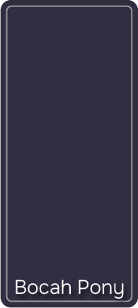 bocah-pony